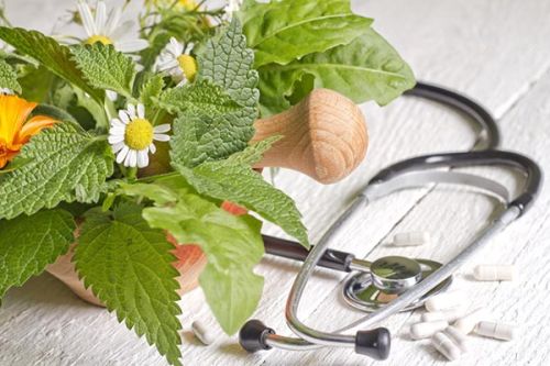 Introducción a la Naturopatía